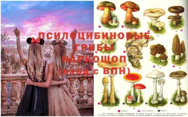 PSILOCYBIN Верея